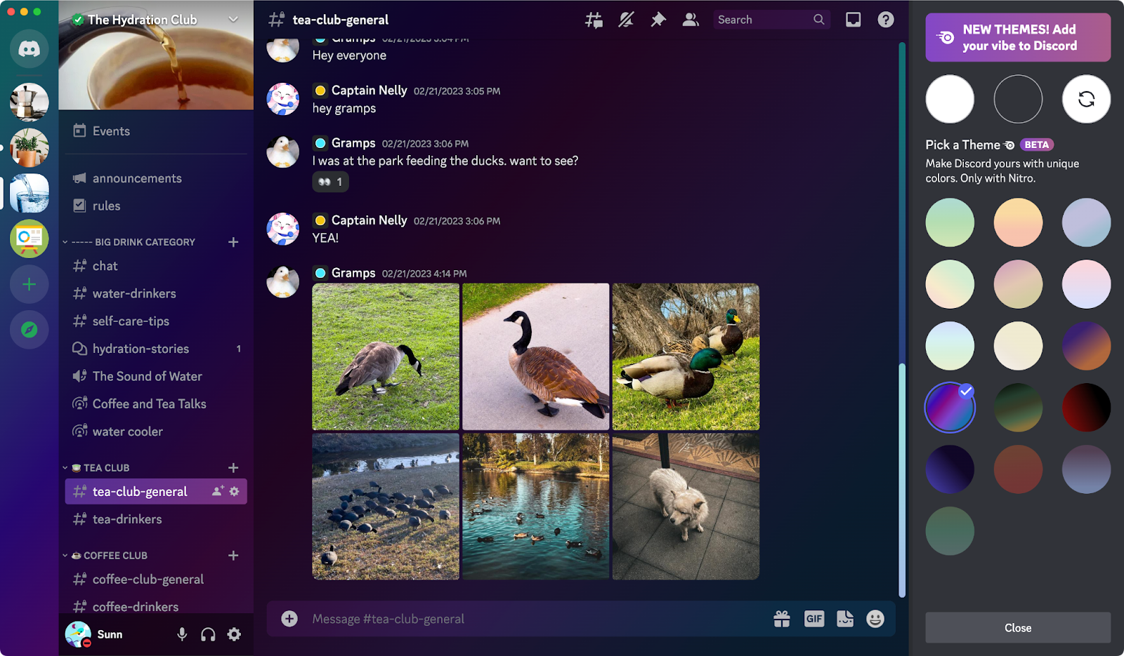 A screenshot of the Theme Preview option, allowing users to see what a particular theme looks like. ‍