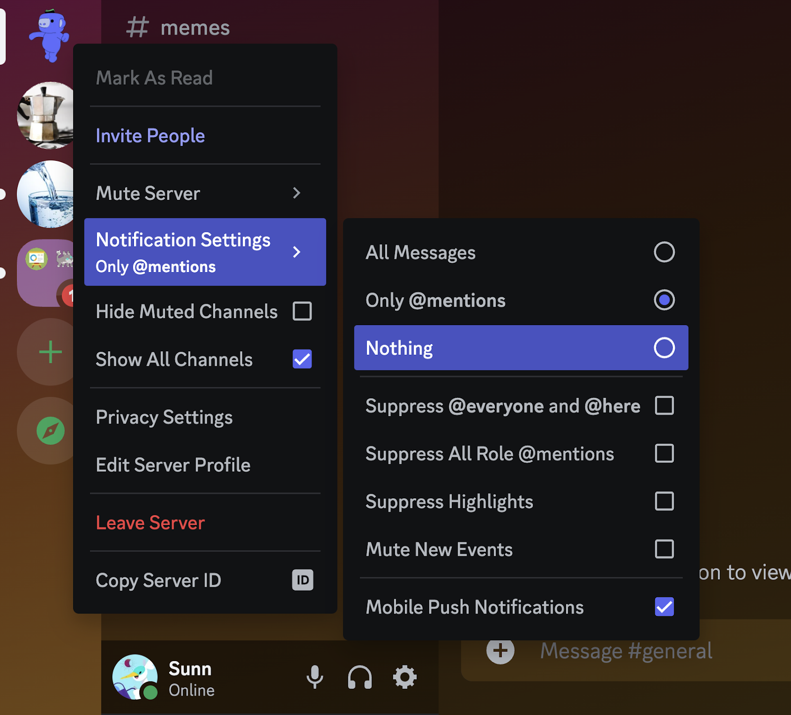  The per-server notification settings, access by the user right-clicking on one of their servers.