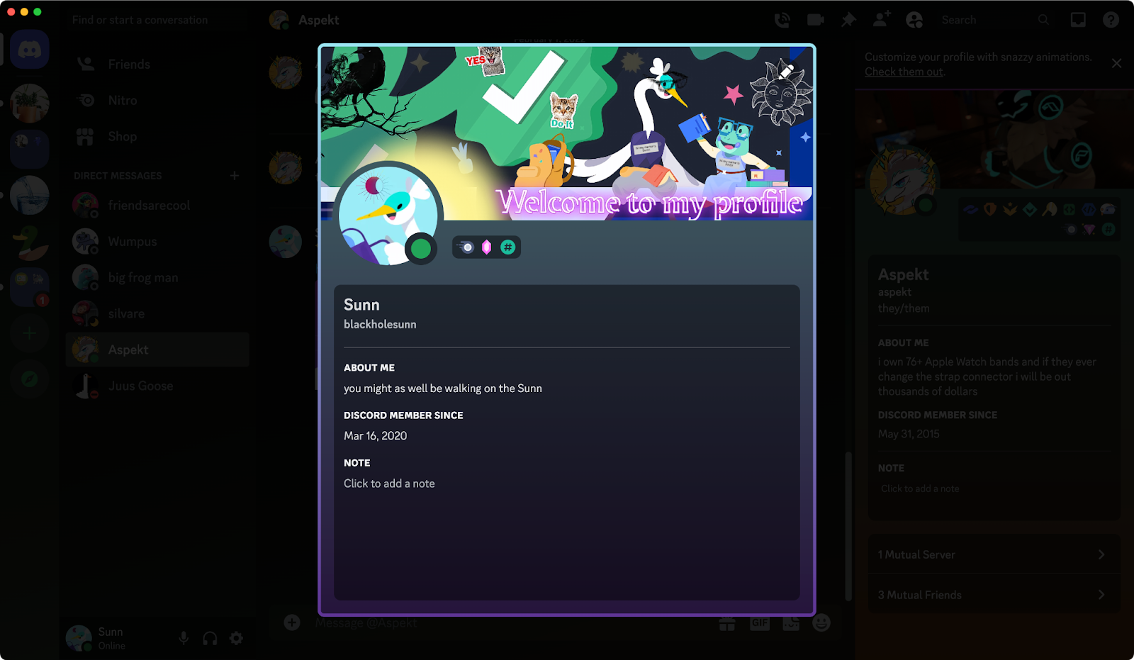 A preview of the user Sunn’s Discord profile.
